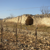 Le vin du mois : Les Coteaux de Capimont d’Hérépian