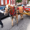 Le retour des marchands ambulants … une belle façon d’humaniser les ville à Baltimore