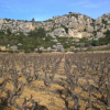 Le vin du mois : Domaine des Chênes à Vingrau dans les Pyrénées-Orientales