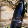 Le vigneron du mois : Clos D’Elle de la famille Bousquet à Cournonterral