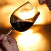États Unis : « Nous sommes une jeune nation qui a soif «, Vinexpo 2015 confirme l’intérêt du marché américain pour le vin