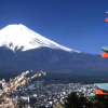 Kyoto Osaka 2016 et Nara 2016, Michelin édite dorénavant deux guides distincts