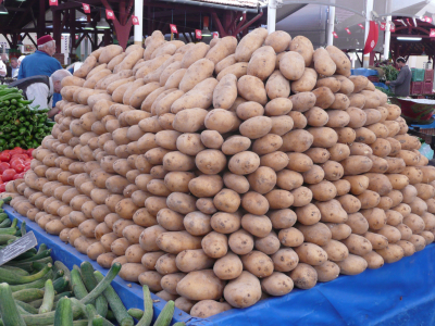 p1090548 Combien d'heures pour faire ces Pyramides ?