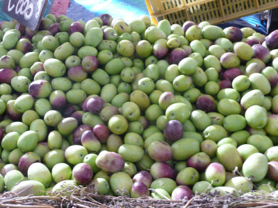 p1090551 Les premières olivies fraîches de l'année, celles ci sont particulièrement grosses