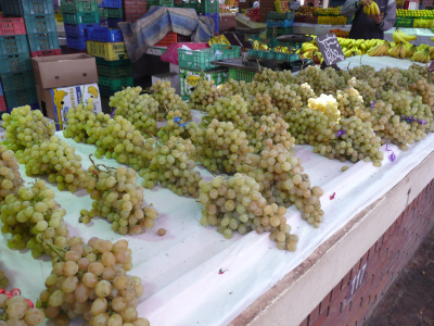 p1090553 ici le raisin de table, est excellent !