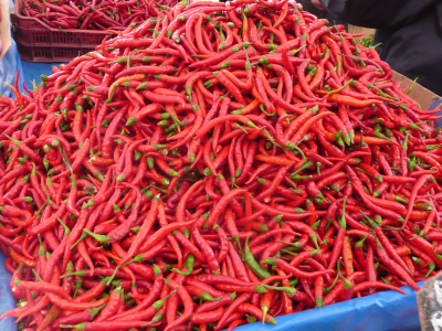 p1090556 jeu de couleur piquant !