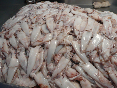 p1090576 De superbes calamars