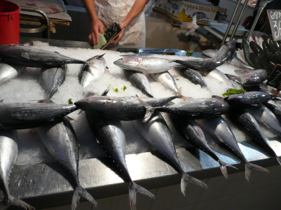 p1090577 Les bonites, sur le marché pas de thon.....