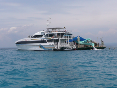 Les plateformes spéciales Japonais....