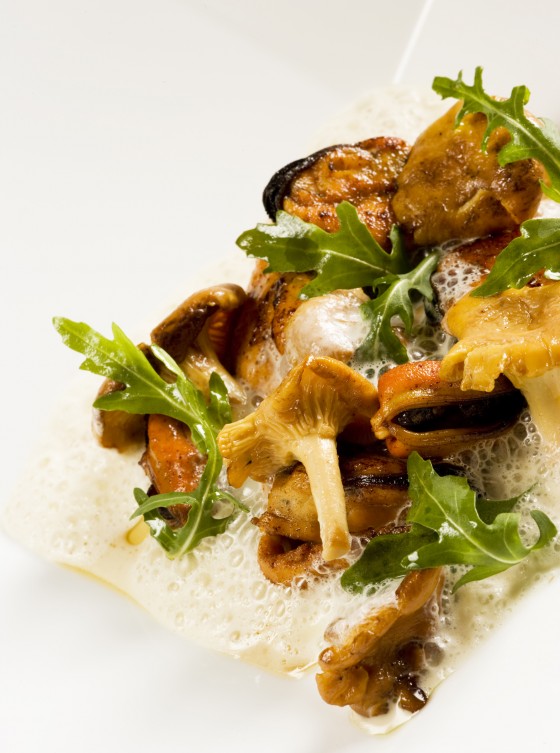 fricasee-moules-girolles