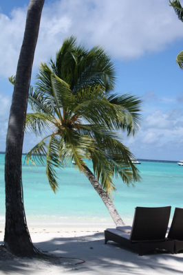 Shangri-La Maldives / Pourcel - DHV