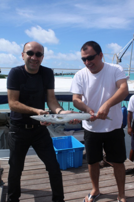 Maldives - L. Pourcel - Villingili - DHV