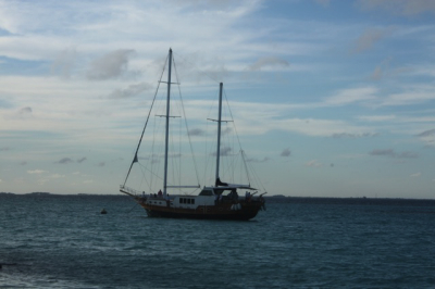 Maldives - L. Pourcel - Villingili - DHV