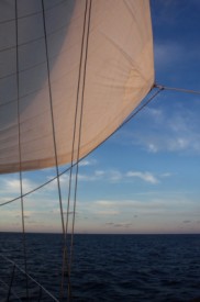 Maldives - Villingili - Pourcel - DHV