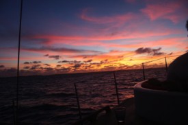 Maldives - Villingili - Pourcel - DHV