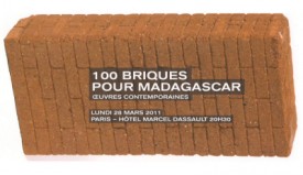 100-briques-pour-madagascar