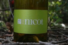 Bouteille nicot Blanc