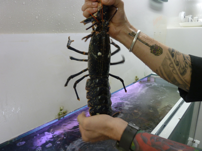 Nautilus Pourcel Abu Dhabi Yas Hôtel