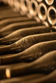 perrin_beaucastelencave_373