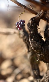 perrin_philosophie01_377