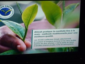 Atelier cuisine Pourcel Montpellier