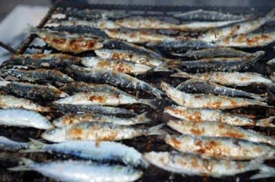 sardine portugaise