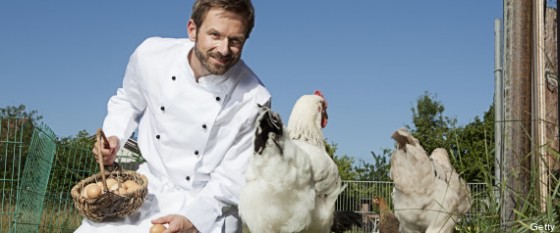 chef fournisseurs restaurants