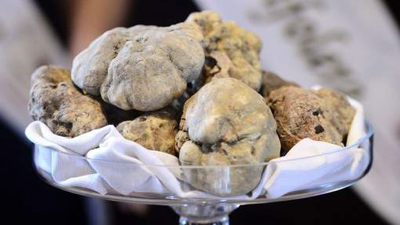 truffes blanches