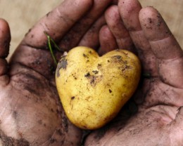 Tendances 2014 FOOD repas durable