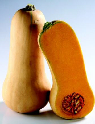 butternut