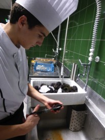 Lycée Georges Freche Pourcel