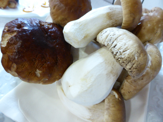 cèpes frères Pourcel