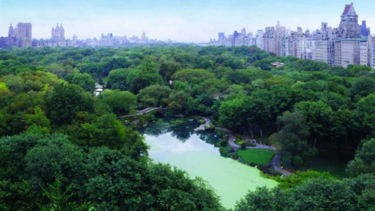 New-York-Central-Park