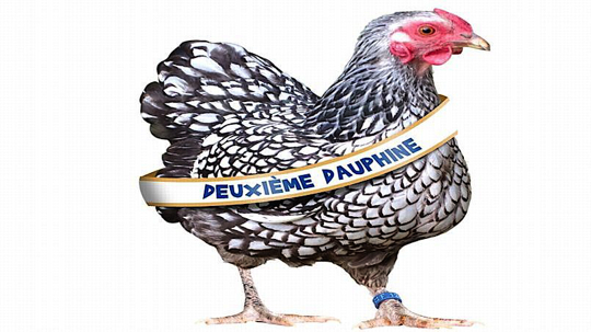 poule