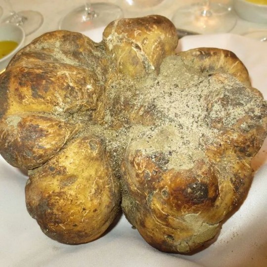 truffe blanche Hong Kong
