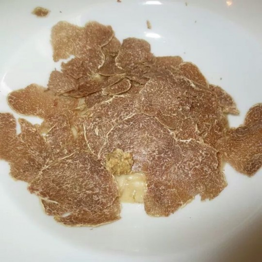 truffe blanche Bombana