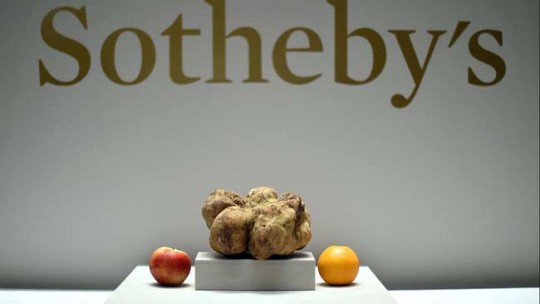 Sotheby's truffe blanche