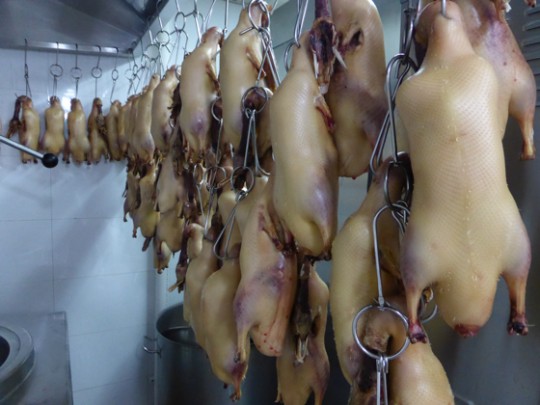 Star Chef Asian Tour 2014 Sofitel Guangzhou