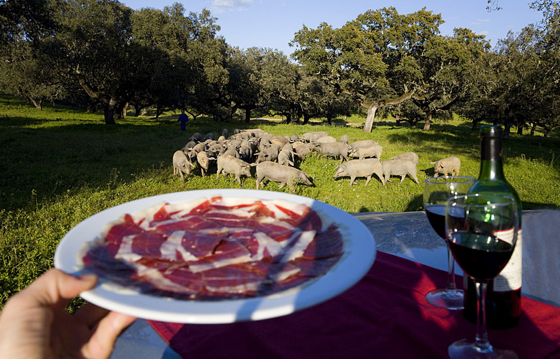 Porc Iberique