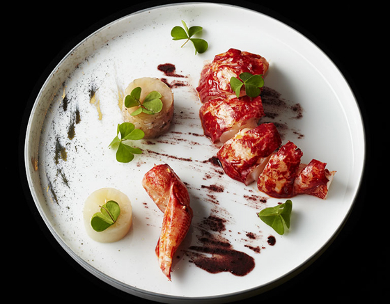 Lebey poisson HOMARD