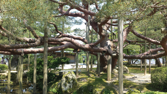 Jardin Kanazawa