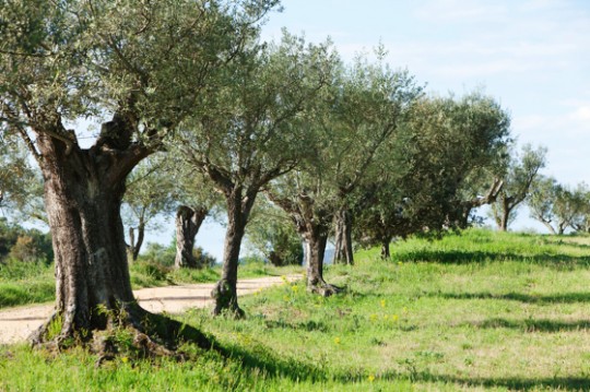 HotelCastellEmporda_Foto-RobertAarts