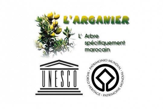 L'arganier classé Patrimoine immatériel de l'Unesco