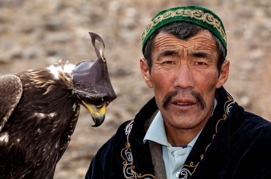 Les aigles chasseurs de l'Altaï ont été inscrits au Patrimoine mondial immatériel de l'Unesco en 2010. 