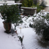 Montpellier se réveille sous la neige aujourd’hui…