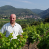 Le vin du mois : septembre à Roquebrun
