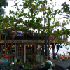 Bali… Le temps s’arrête à La Plancha…