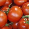 La tomate pour traiter votre peau