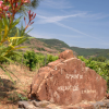 Le vins du mois : Le Domaine de Malavieille