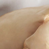 Brésil : Le foie gras bientôt interdit à Sao Paulo